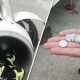Elderly woman, Woman throw coins in plane engine, China Southern Airlines , Chinese airline, Shanghai, China, Pudong International Airport, World news