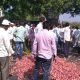 MadhyaPradesh, Farmers, Farmers agitation, Mandsaur, Farmers protest, Shivraj Singh Chouhan