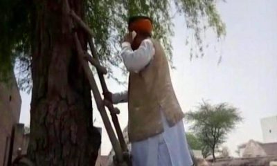 Union Minister, Arjun Meghwal, Minister on tree, Digital India, Mobile phone, Rajasthan
