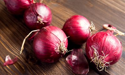 Research, Discover, Red Onion, Cure, Cancer, Health