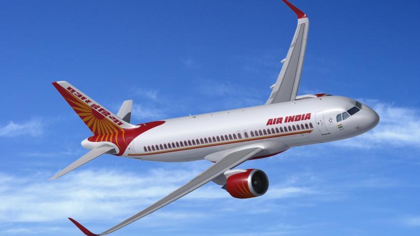 Air India, non vegetarian meals, Vegetarian meals, Economy class passengers, Domestic flights, Cost cutting, Business news