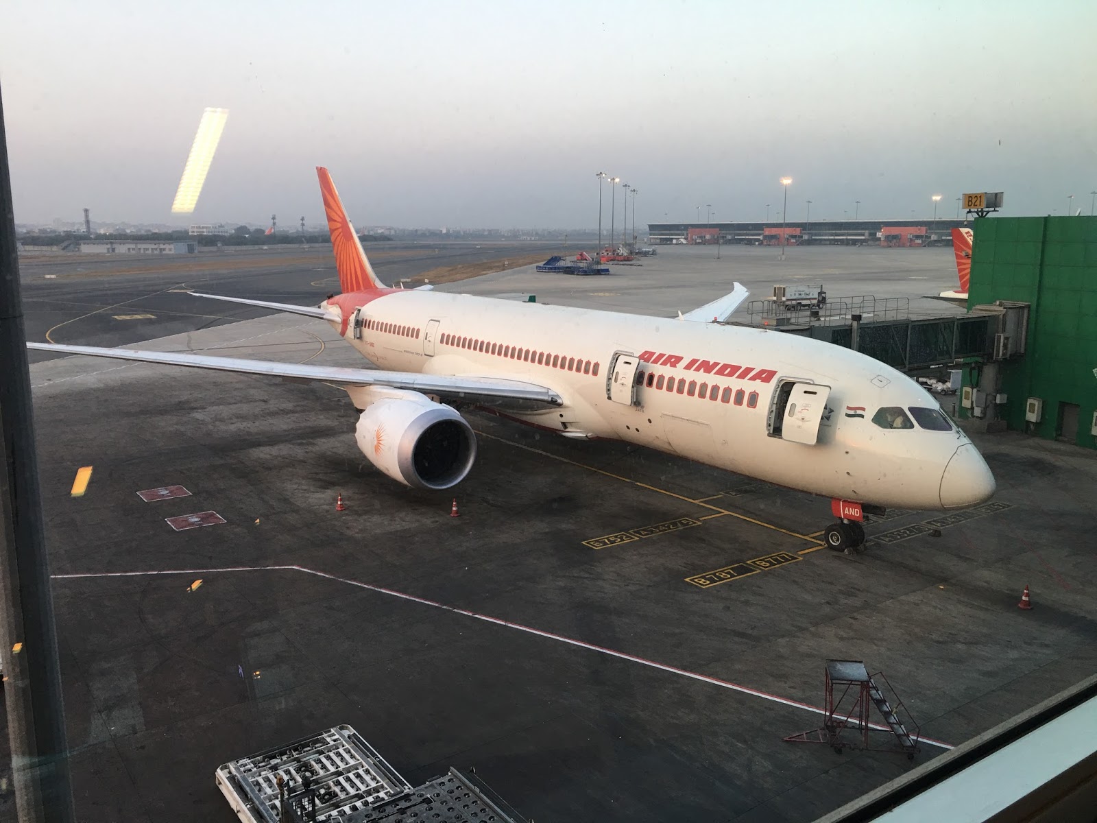 Air India, Air India flight, Rat delay flight, New Delhi, Delhi-San Francisco