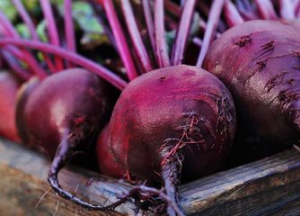 Beetroot May Help Reduce Soreness After Intense Workout