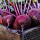 Beetroot May Help Reduce Soreness After Intense Workout