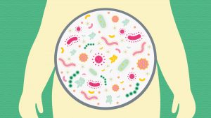 Good gut bacteria useful in making cancer immunotherapies work better