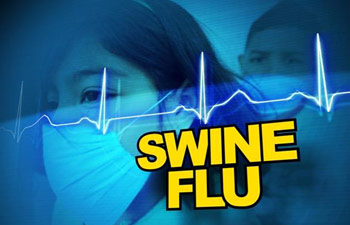 Swine flu claims 40 lives in Telangana