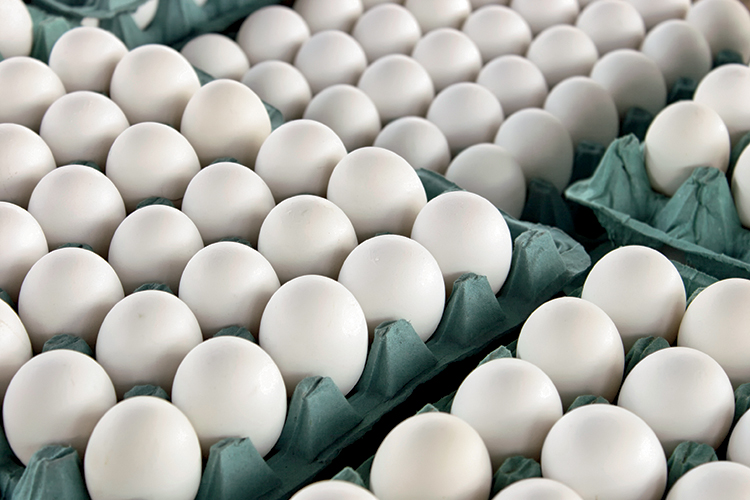Onion, Tomatoes, Eggs, Eggs prices, Cost of Eggs, Wholesale prices of Eggs, Poultry Federation of India President, Business news
