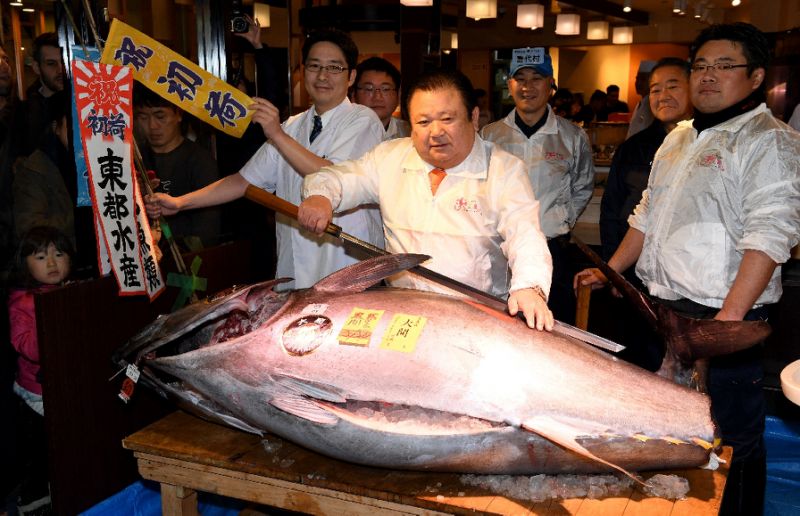 Tuna fish, World biggest fish market, World famous Tsukiji fish market, Japan, World news, Weird news, Offbeat news
