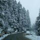 Heavy snowfall, Winter season, Snowfall in hill stations, Uttarakhand, Regional news, Weather news
