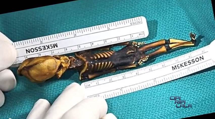 Skeleton, Foetus, Ata, Mysterious skeleton discovered Six inch skeleton, Extra-terrestrial origin, Scientists, Chile, World news, Weird news, Offbeat news