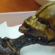 Skeleton, Foetus, Ata, Mysterious skeleton discovered Six inch skeleton, Extra-terrestrial origin, Scientists, Chile, World news, Weird news, Offbeat news