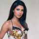 Priyanka Chopra, Quantico, Bollywood actress, Marathi language, paani, Bollywood news, Entertainment news