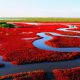 Strangest Places, earth, amazing, weird places, planet, The Bermuda Triangle, Panjin Red Beach - China, Door To Hell - Turkmenistan, Badab-e Surt - Iran, Gardens of Bomarzo – Italy, Lake Hillier - Australia,Weird news, off beat news