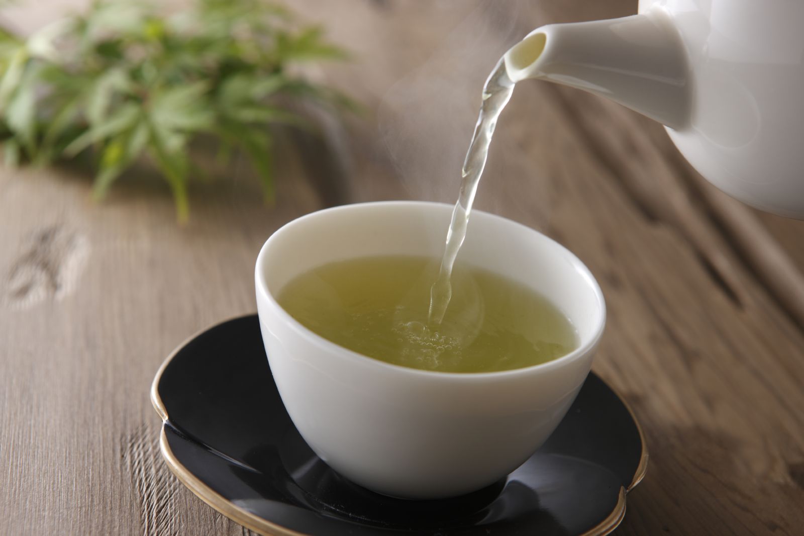  Green Tea compound can protect Brain and Heart .True or False ?  
