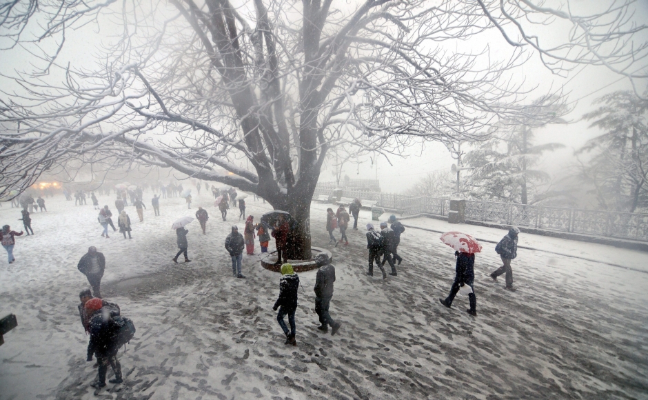 Winter, Cold, Snowfall, Rains, Himanchal Pradesh, North India, National news