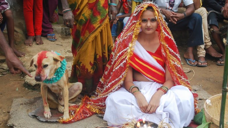 Weird traditions of India, Weird traditions practiced in India, Offbeat news, Weird news
