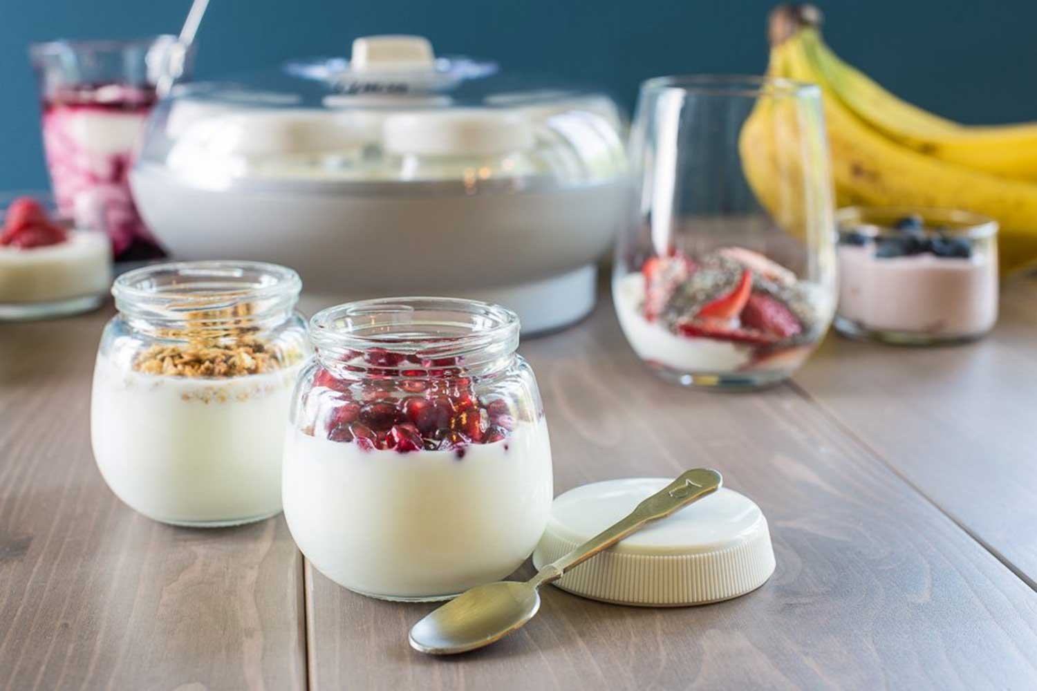 Yogurt, Curd, Yogurt benefits, Difference between curd and yogurt, Protein, Lactic acid, Lactose, Lactose intolerant, Health news