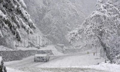 Fresh Snowfall, Cold wave, Kashmir, India Meteorological Department, IMD, National news