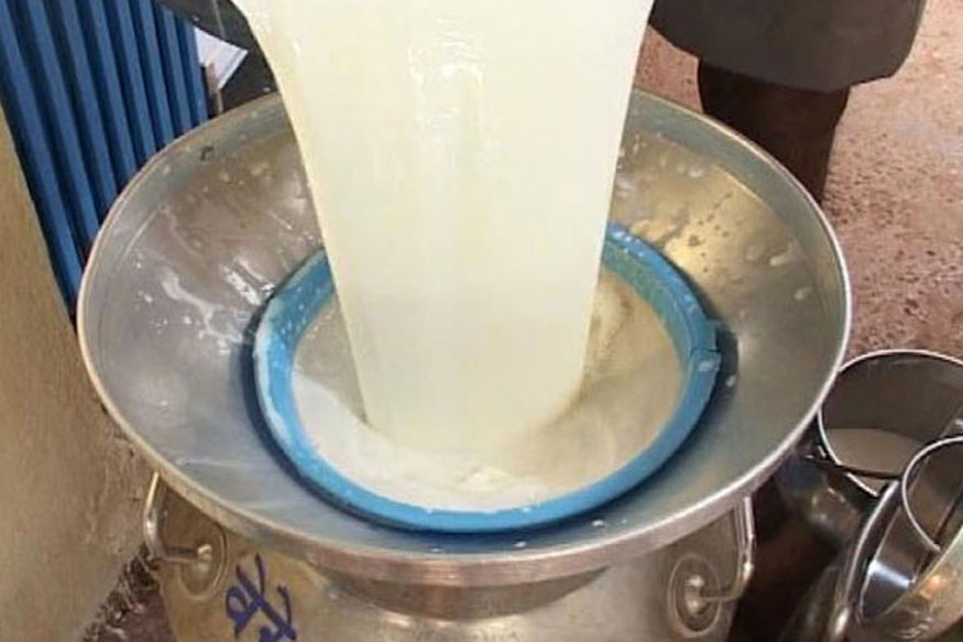 Five members of family, Poisonous milk, Pilibhit, Uttar Pradesh, Regional news
