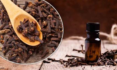 Clove, Indian Food, Benefits of Clove, Smell of clove, Taste of Clove, Clove is antioxidant, Clove is antibacterial, Benefits of cloves, Health news, Lifestyle news, Acne, Sinus, Morning Sickness, Increased Immunity, Offbeat news