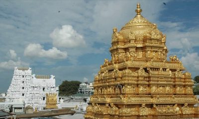 Tirupati temple, Lord Venkateswara, Sri Lakshmi, Sri Padmavathi, Golden crowns, Sri Govindaraja Swamy temple, Tirupati, CCTV footage, Andhra Pradesh, Regional news, Religious news, Religion news, Spiritual news