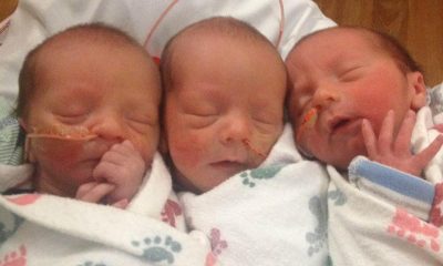 Mother, Woman, Triplets babies, IVF, Pune woman, Weird news, Offbeat news