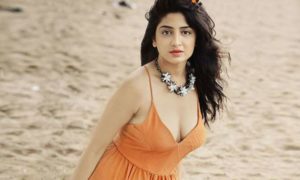 Poonam Kaur, Hyderabadi model, You Tube channels, Objectionable content, Online harassment, Bollywood news, Entertainment news