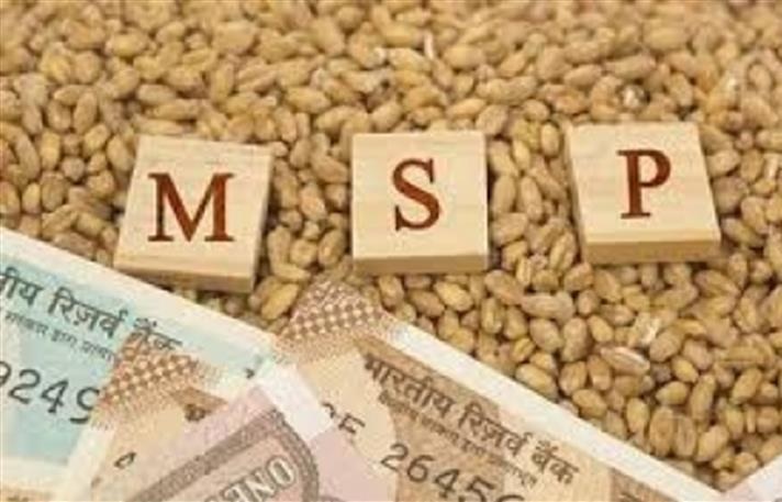 Yogi government will buy Mustard, gram and lentils on increased MSP