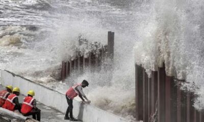 Gujarat will win Cyclone will lose