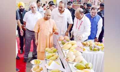 CM Yogi Adityanath in UP Mango Festival 2023