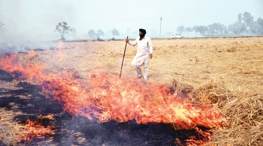 Haryana government is hiding incidents of stubble burning AAP alleges BJP